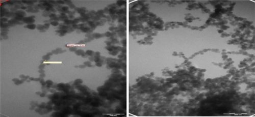 Figure 3 Transmission electron micrographs of Fe3O4 magnetic nanoparticles. A) 160,000×; B) 105,000×.