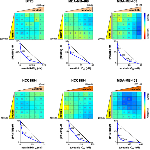 Figure 5 Effect of PRMT5/neratinib and PRMT5/tucatinib combinations on the proliferation of TNBC and HER2-positive breast cancer cell lines. BT20, MDA-MB-468, MDA-MB-453, and HCC1954 cells were seeded in 96-well plates and treated with varying concentrations of EPZ015938 (PRMT5i) and/or neratinib or tucatinib as indicated, then cell proliferation was measured after four mitotic cycles (7 days). The percentage of viable cells was normalized to DMSO-treated cells. Each drug was used at a maximal concentration of 2xIC50 for sensitive cell lines (5 µM maximum for resistant cells), followed by two-fold serial dilutions. The nature of drug interaction between EPZ015938 and neratinib or tucatinib was assessed using the Loewe model on the Combenefit software. The synergy matrix (upper panel) and isobologram (bottom panel) for each cell line are shown. Isobolograms represent the IC50 (BT20, MDA-MB-453, and HCC1954) or IC65 (MDA-MB-468) of neratinib or the IC50 of tucatinib (X-axis) obtained at various EPZ015938 concentrations (Y-axis). CI were calculated at the different EPZ015938 concentrations used and are shown on the isobolograms. Data are representative of at least three independent experiments.