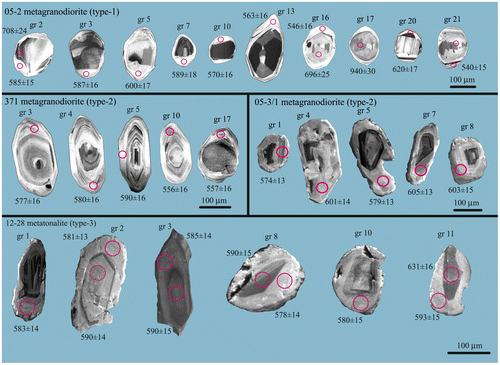 Figure 8. Cathodoluminescence (CL) images of the representative internal textures of typical zircon populations for metagranodiorite (type-1; 05-2), metagranodiorite (type-2; 371 and 05-3/1) and metatonalite (type-3; 12-28).