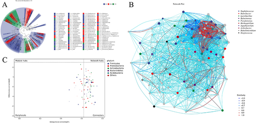 Figure 7 Analysis of significant differences between groups. (A) Value-distribution histogram of the linear discriminant analysis effect size (LEfSe). (B) Species network at the ASV/OTU level. (C) ZIPI charts for ASVs/OTUs.