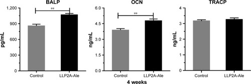 Figure 5 LLP2A-Ale significantly increases BALP and OCN levels, while the TRACP level remains the same. Serum BALP, OCN and TRACP levels at 4 weeks after treatment between the two groups. Values are presented as mean±standard error of the mean of determinations in three animals. **P<0.01 compared to the control group.