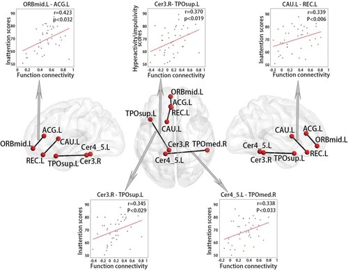 Figure 6 Correlations between behavioural variables and functional connections in ADHD.