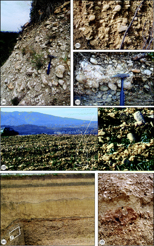 Figure 8. Post-orogenic continental deposits of the lower Sangro valley. (a) Heterometric, poorly sorted, cobble to boulder conglomerate deposits of Lucianetti gravel; (b) moderately sorted, pebble to cobble conglomerate deposits pertaining to San Giovanni in Venere conglomerates; (c) well-rounded, moderately sorted conglomerates pertaining to Piano della Madonna conglomerates; (d) gravel lag related to Piano della Madonna conglomerates (box: a close-up of the gravel deposits); (e) gravel and sand deposits (lower part), overlain by sand deposits with brown silt levels, related to Piano La Fara conlomerates; (f) conglomerates with sandy lenses (close up of Figure 8e).