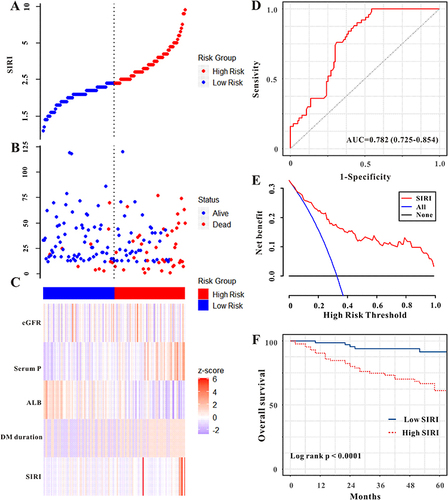 Figure 4 The SIRI was established to detect the overall mortality of patients with diabetic MHD. All patients were distinguished into high and low risk based on the SIRI (A), the relationship between survival time and prognosis of patients in the two corresponding groups (B), and the heatmap of other markers between the two groups (C). Receiver operating characteristic (ROC) curve analysis of the SIRI for overall mortality (D), Decision curve analysis of the risk score for the overall mortality (E). Kaplan-Meier curves show the overall mortality of groups with different risks (F).