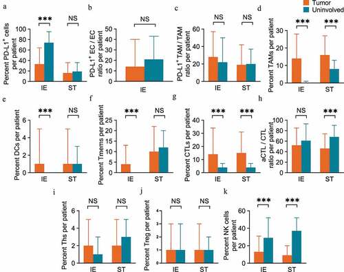 Figure 2 ESCC tissue samples display heterogeneous populations of immune cell infiltrates. (a-f) Pairwise comparisons of the ratio of immune subpopulations in intraepithelial regions and stromal regions per patient for PD-L1+ cells (a), PD-L1+ EC/EC ratio (b), PD-L1+ TAM/TAM ratio (c), TAMs (d), DCs (e) and memory T cells (f) between tumoral (n=269 for IE, n=268 for ST) and peritumoral uninvolved esophageal tissue samples (n=42 for IE and ST). (g-k) CTLs (g), aCTL/CTL ratio (h), Ths (i), Tregs (j) and NK cells (k) between tumoral (n=220 for IE, n=224 for ST) and peritumoral uninvolved esophageal tissue samples (n=35 for IE, n=32 for ST). Significance was determined by an unpaired t-test. Data are presented as the mean ± standard deviation (s.d.). ***P<0.001, NS, not significant. IE, intraepithelial. ST, stromal