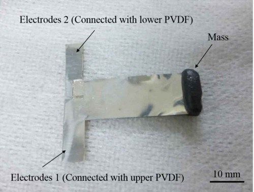 Figure 8. Photograph of fabricated bimorph meshed-core vibration energy harvester.