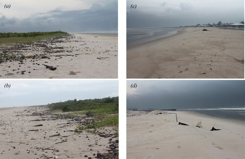 Figure 2. Picture of geomorphologic features (a–b) cells I, (c–d) cell VIII.