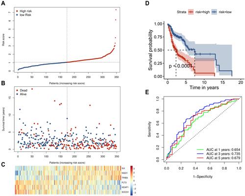 Figure 3 Prognostic analysis of the six-gene signature in the training set. (A) The curve of risk score. The dotted line represents the median risk score, and patients were divided into high- and low-risk groups. (B) Survival status of the patients. A higher risk score corresponded to higher mortality among patients. (C) Heatmap of six prognostic gene expression profiles in the high- and low-risk groups. (D) Kaplan–Meier survival analysis of the signature of six genes. (E) Time-dependent receiver operating characteristic analysis of the six-gene signature.