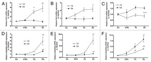 Figure 1. Effect of DMSO on the mRNA expression of genes involved in active DNA demethylation. After 1 d, DMSO strongly induced the expressions of Tet1 (A) and Tet2 (B) in a concentration dependent manner. Expression of Tet3 was not affected at this time (C). Concomitantly, for Gadd45b (D) and Gadd45 g (E) at 2% of DMSO and for Gadd45a (F) already at 1% DMSO in culture medium a significant upregulation was measured. After 5 d the effect was depleted or reduced except for Tet3 (C) and Gadd45a (F). At this time expression of Tet3 was significantly increased when compared with day 1. An even stronger effect was seen for Gadd45a expression after 5 d. To analyze mRNA expressions, RNA was isolated and analyzed by qRT-PCR. Gene expressions were normalized to 18S rRNA. Treated probes are referred as fold change to untreated control (Co). Results are represented as mean +/− SD *p < 0.05, **p < 0.01, *** or +++ p < 0.001, n = 3. Significances were calculated by one-way ANOVA (*) or by two-way ANOVA (+).