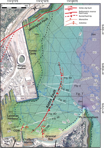 Figure 6. Active traces of the Aotea Fault mapped beneath Wellington Harbour. The trace of the offshore Wellington Fault is modified from Lewis (Citation1989). Thick black lines shown on land are faults from the GNS Science 1:50 000 database; red dashed lines are inferred faults thought likely to be active (e.g. Begg and Mazengarb Citation1996). Blue lines with labels are bathymetric contours. The pinch-out of the upper seismic unit mapped in the harbour is depicted by the black dashed line near the coastline. Note the precise position of the unit’s pinch-out beneath Chaffers Marina and Te Papa Tongarewa (Museum of New Zealand; TPT) and east of Oriental Bay is not certain. Marine sediments of probable Holocene age are present beneath reclamation fill, at about 10 m depth in boreholes at TPT (Semmens Citation2010). The outline of subsurface gas masking extent is shown as a purple mask on the right-hand side of the figure. Thin black lines and white italicised labels show the boomer profile locations associated with the IKA1303 survey (see also Figure 2), unless specified. White lines indicate profiles illustrated in Figures 3, 8 and 10. Black circles along the Aotea Fault trace show the positions of profiles analysed in Figure 11. CQW = Clyde Quay Wharf.