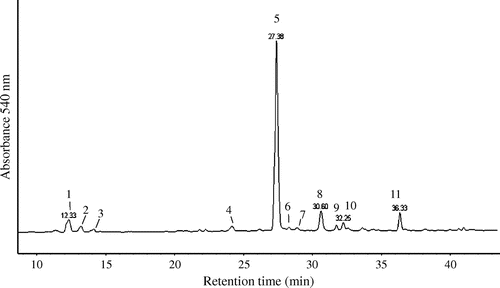 Fig. 3. HPLC-UV chromatogram of anthocyanin present in blue tomato peel extract using HPLC-ESI-MS/MS system at 540 nm.