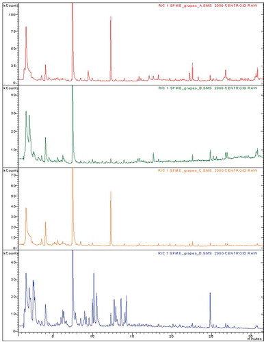 FIGURE 1 Volatile compounds chromatograms obtained from headspace micro extraction of four varieties of dried raisins (A [Chriha], B [Razeki], C [Assli] and D [Meski]).