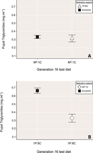 Figure 2. A) Triglyceride content of pupae raised from hatch to pupariation on the 6P:1 C diet following 16 generations of rearing in either the 1 P:9 C (open triangles) or the ancestral environment (black squares). Despite being exposed to different food environments for 16 generations of quasi-natural selection, there was no significant difference between the strains in their response to the low-protein food. B) Pupal triglyceride storage response of individuals raised for 16 generations in either the 6 P:1 C selection environment (open diamonds) or the ancestral environment (black squares), who were then raised from hatch to pupariation on the high-carbohydrate 1 P:9 C food. Contrary to our prediction, rather than being significantly ‘fatter’ than the ancestral-strain pupae, individuals from the 6 P:1 C environment subsequently fed the ‘obesogenic’ food were significantly leaner than their ancestral-line counterparts. In both panels, points show the mean ± standard error