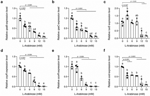 Figure 5. L-Arabinose inhibits quorum sensing and oxidative stress response in E. coli O157:H7 after a 24-h interaction in LB broth qseB (a), qseC (b), and luxS (c) mRNA expression levels of E. coli O157:H7 upon 24 h growth in LB medium supplemented with 0, 3, 6, 9, 12, and 15 mM L-arabinose. oxyR (d), soxR (e), and sod (f) mRNA expression levels of E. coli O157:H7 upon 24 h growth in LB medium supplemented with 0, 3, 6, 9, 12, and 15 mM L-arabinose. All data are presented as mean ± standard deviation and analyzed based on three biological replicates.