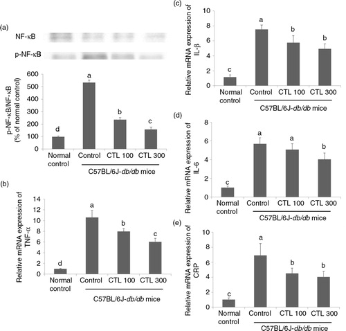 Fig. 4 Effect of dietary supplementation with Cudrania tricuspidata water extract on inflammation in the livers of C57BL/6J-db/db mice. (a) Representative Western blots for total protein and phosphorylate expression of NF-κB in the livers of the C57BL/6J-db/db mice. mRNA expression of (b) TNF-α, (c) IL-1β, (d) IL-6, and (e) CRP in the livers of the C57BL/6J-db/db mice. Data are expressed as mean±standard deviation (n=4). Different letters show a significant difference at p<0.05 as determined by Duncan's multiple range test.