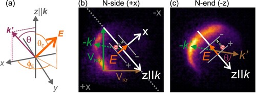 Figure 1. Definition of the electric field vector in the scattering frame (a) and example velocity-map ion images for the |j′=9.5e,|Ω|=1/2⟩ final rotation state in the N-side (b) and N-end (c) orientations. The scattering frame's z-axis is defined parallel to the initial relative velocity vector, k, and the x-axis is defined by the kk′ plane, where k′ is the final relative velocity vector after collision and indicates the direction of the outgoing Kr atom. The angle between k and k′ is the scattering angle θ, and vNO (green arrow) and vKr (brown arrow) are the initial velocities of the NO and Kr beams in the laboratory frame. Note that the NO molecules (green dotted arrow in (b) and (c)) scatter in the direction opposite to k′. The electric field, E, is created by a set of positively and negatively charged rods, which preferentially orient the NO molecules with their dipole moment (N→O) antiparallel to E. For side-on orientation (b), the rods are oriented parallel to k, for end-on orientation (c), the rods are oriented perpendicular to k.