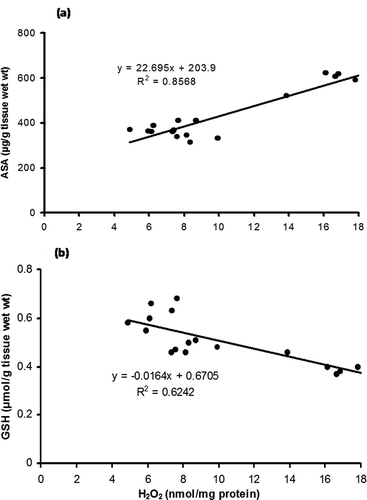 Figure 9. Linear regression analysis of (a), ascorbic acid content (µg/g tissue wet wt) versus hydrogen peroxide content (nmol/mg protein) and (b), glutathione (µmol/g tissue wet wt) versus hydrogen peroxide content (nmol/mg protein) in the whole-body homogenate of Antheraea mylitta.