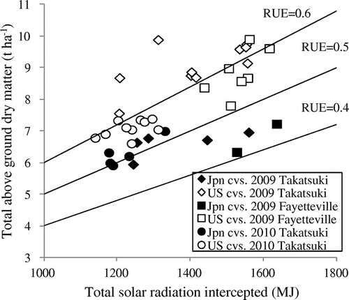 Figure 2. Relationship between total radiation intercepted and total above ground dry matter at three environments.