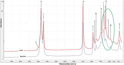 FIGURE 1 FTIR spectra of lipid fraction extracted from “rambak” cracker containing 100% cow skin (beef fat) and 100% pig skin (lard) at mid infrared region (4000–650 cm–1).