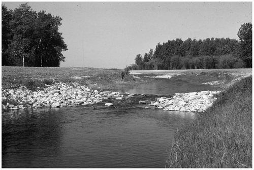 Figure 13 Fish passable rock riffles were constructed in steeper reaches of Mink Creek, MB, to restore flow continuity and walleye spawning habitats. Emergent cobbles and boulders are arranged on the surface to trap walleye eggs dispersed in the pool above the crest of the riffle in the high discharge spring spawning period. The v-shaped face of the riffle concentrates the flow to ensure fish and fry passage in small channels between cobbles under low discharge conditions.