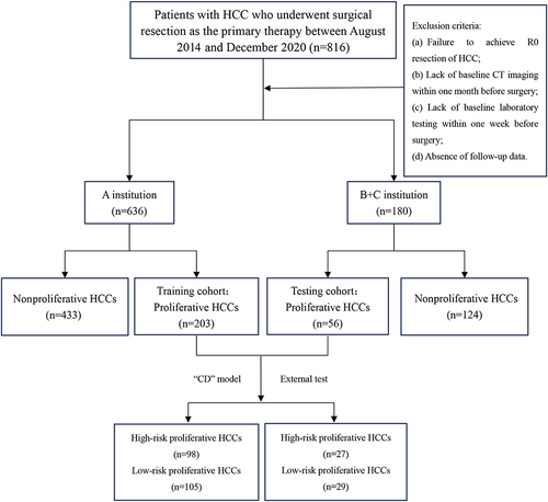 Figure 1 Study flowchart. Patients with proliferative hepatocellular carcinoma who underwent liver resection in institution (A) (n=203) were included in the training cohort for establishing the predictive model. Patients from institutions (B and C) (n=56) were included in the external validation cohort.