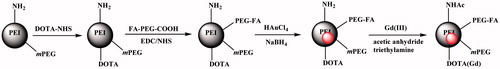 Figure 1. Schematic illustration of the preparation of the FA-Gd-Au PENPs.