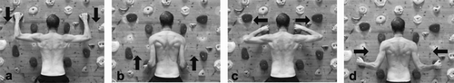 Figure 1. Four different arm positions: Jug (a), Undercling (b), Sidepull_IR (c) and Sidepull_ER (d). Arrows indicating the loading direction on the climbing holds.
