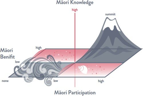 Figure 2. Te Tihi o te Maunga model of Vision Mātauranga (Rauika Māngai Citation2020, p. 29).
