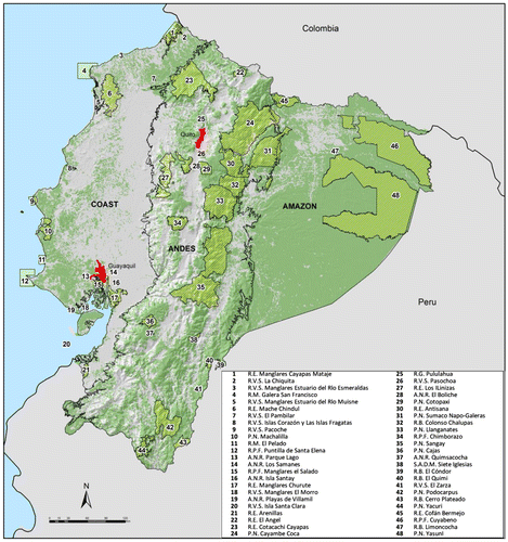 Figure 1. Study area in mainland Ecuador showing the distribution of remnant vegetation. The internal black lines limit the three major physiographic regions: (1) the Coastal plain, (2) the Andean highlands, and (3) the Amazon. Remnant native vegetation is shown in green, whereas converted areas are presented in gray. The red polygons are the two biggest cities in the country.