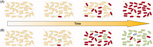 Figure 1. Models of population diversification through adaptive evolutionary sweeps under fixed selective pressure. (A) Simplistic model of purifying selection whereby an adaptive mutation (red cell) confers a fitness advantage over the progenitor (yellow), leading to fixation of the mutation in the population. (B) More realistic model with stable co-existence of multiple lineages (yellow, red, green and blue), where some adaptive traits (green non-motile cells) require refinement before sweeping through the population. Further complexity in population dynamics are imparted by spatial organisation and fluctuations in selective pressure.