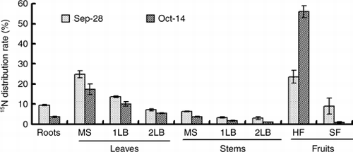 Figure 4  Changes in the 15N distribution rate of various organs of the cucumber. MS, main stem; 1LB, first lateral branch; 2LB, secondary lateral branch; HF, harvest fruits; SF, small fruits. Error bars denote the standard deviation (n = 3).