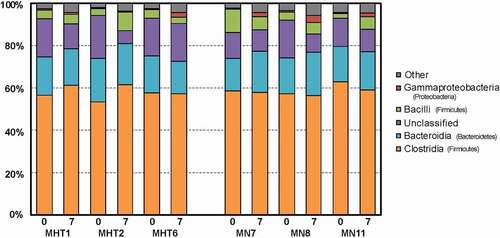 Figure 6. Stacked barplot of the five most abundant bacterial classes identified for individual animals prior to (“0”) and following (“7”) FMT, with classes identified by color, as indicated by the key at the right. The phylum of each class is listed in parentheses. Methylone hyperthermia-tolerant (MHT) and methylone-naive (MN) animals are identified by number.