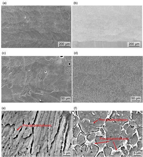 Figure 6. SEM observations for (a, c, e) DED produced AA7075 without ultrasonic treatment under low, medium, and high magnifications, respectively, (b, d, f) DED produced AA7075 with ultrasonic treatment, under low, medium, and high magnifications, respectively.