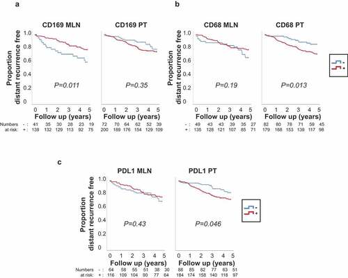 Figure 3. Differences in 5-year distant recurrence-free interval (DRFi) according to CD169, CD68 and PDL1 expression in metastatic lymph node (MLN) and primary tumors (PT) of breast cancer patients. P value by log-rank test. (a) CD169 expression – in metastatic lymph node (CD169 MLN) (left) and primary tumor (CD169 PT) (right). (b) CD68 expression (-/+) in metastatic lymph node (CD68 MLN) (left) and primary tumor (CD68 PT) (right). (c) PDL1 expression (-/+) in metastatic lymph node (PDL1 MLN) (left) and primary tumor (PDL1 PT) (right)