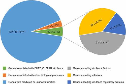 Figure 1. Pie chart showing the functional classification of 1387 OI genes. Each pie slice represents a major functional group of genes. Values represent the number (and percentage) of genes in a particular category