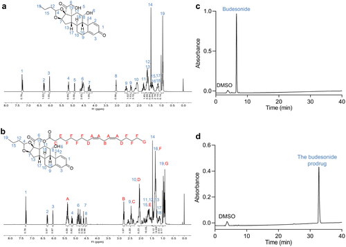 Figure 2. Structure confirmation and purity determination of the budesonide–LA conjugate. 1H NMR spectra of budesonide (a) and the prodrug (b). HPLC confirmed the purity of budesonide (c) and the prodrug (d).