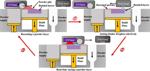 Figure 1. Layer-by-layer fabricating steps of green parts in real-time curing BJAM.