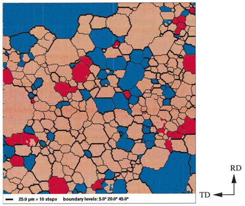 Figure 26. OIM image of specimen in secondary recrystallization. The bold black lines represent boundaries with a misorientation angle between 20° and 45°. Grains shown in red represent the main texture component {554}<225> having a deviation angle of less than 10° from the ideal position. Grains shown in blue represent grains with a misorientation angle of between 20° and 45° with respect to the {554}<225> orientation [Citation67].