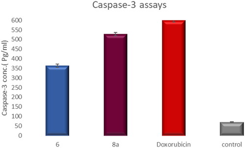 Figure 17. Graphical representation for active caspase-3 assays of compounds 6 and 8a compared to doxorubicin as a positive control.