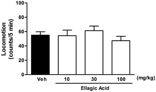 Figure 4. Spontaneous locomotion effects of ellagic acid (10, 30 and 100 mg/kg; i.p.), expressed by the line crossing and or rearing numbers in the open-field in rats. Data represent means ± SEM (n = 8 in each group) (one-way ANOVA followed by Dunnett's test).