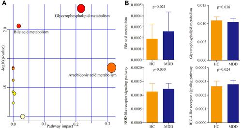 Figure 4 Biological functions of differential serum metabolites and genera. (A) Three significantly affected pathways that these differential serum metabolites were mainly involved in; (B) four significantly disturbed pathways that these differential genera were mainly involved in.