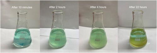 FIGURE 2 Vitriol (iron and copper sulphate) turns yellow in water. Copyright Marianna Marchini.