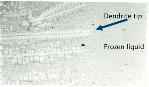 Figure 68. Dendritic microstructures after a directional solidification experiment in a Bridgeman furnace.