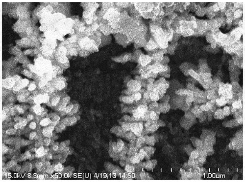 Figure 5. High resolution electron micrograph of a silver electrodeposit grown in ultra-pure water on a glass substrate with evaporated silver electrodes, showing its granular structure (the size bar is 1 µm)