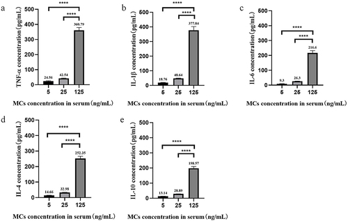 Figure 1 Contents of pro/anti-inflammatory factors in serum samples exposed to different concentrations of MCs. (a) Contents of TNF-α. (b) Contents of IL-1β. (c) Contents of IL-6. (d) Contents of IL-4. (e) Contents of IL-10. Data were analyzed by one-way ANOVA. ****p < 0.0001.