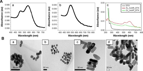 Figure 2 Characterization data of gold nanocomposites as determined by transmission electron microscopy (TEM) and UV-visible spectrophotometry.Notes: (A) UV-visible spectroscopy of (a) AuNR, (b) AuNP, and (c) CL_AuNP_DTX and AL_AuNR_DTX. (B) TEM images of (a) AuNP, (b) CL_AuNP_DTX, (c) AuNR, and (d) AL_AuNR_DTX.Abbreviations: AL_AuNR_DTX, docetaxel-loaded anionic lipid-coated gold nanorod; AuNP, spherical gold nanoparticle; AuNR, gold nanorod; CL_AuNP_DTX, cationic lipid-coated gold nanoparticle.