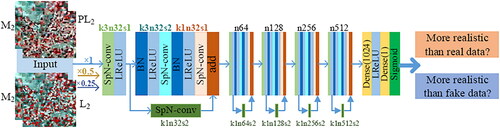 Figure 6. Network architecture of RaLSD.