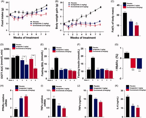 Figure 10. The effects of chronic everestmab treatment on metabolic profiles in DIO rats. (A) Food intake; (B) body weight gain; (C) %fat of body mass; (D) AUC of OGTT; fasting (E) BGL and (F) insulin level; (G) %HbA1c change. Real-time quantitative PCR (qPCR) analysis on the expression of the gene encoding PPARγ (J), TNFα (K), and protein expression of TNFα (H) and IL-6 (I). Results are presented as means ± SD (n = 8 each group). ***p<.001, **p<.02, *p<.05, comparing saline to GLP-1R agonists injection.