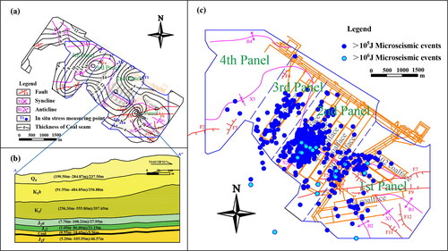 Figure 1. Engineering layout and geological profile in the study area.