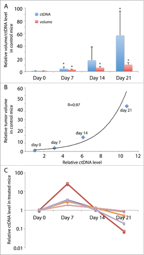 Figure 5. ctDNA levels in mice bearing TSG-RCC-030 correlated with tumor volume and responded to cabozantinib treatment. ctDNA levels were measured by qPCR using allele-specific primers that amplified the mutant MET. ctDNA levels increased continuously over time, reaching a 57-fold higher level at the end of the experiment in control mice (A). In control mice, tumor volume correlated with an exponential increase in ctDNA level with a correlation coefficient of 0.97 by Pearson Correlation analysis (B). In treated mice, ctDNA levels increased at 7 d after initiation of treatment and thereafter decreased to different extents in individual mice (C). Data points represent mean+/− SD in (A), mean in (B) and individual in (C). *p < 0.05 by Student's t-test.